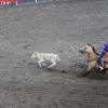 codyrodeo_5076