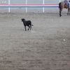 codyrodeo_5079