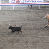 codyrodeo_5093