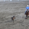 codyrodeo_5099