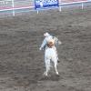 codyrodeo_5195