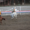codyrodeo_5202