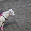 codyrodeo_5346