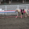 codyrodeo_5373