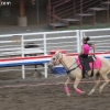 codyrodeo_5435