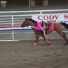 codyrodeo_5459