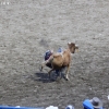 codyrodeo_5636