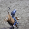 codyrodeo_5653
