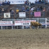codyrodeo_5707