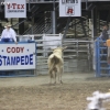 codyrodeo_5952