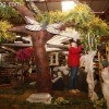 parade-floats_8982