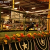 parade-floats_9014