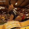 parade-floats_9081