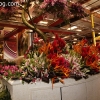 parade-floats_9095