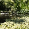 descansogardens_9341