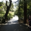 descansogardens_9347