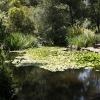 descansogardens_9388