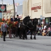 2013roseparade_7596