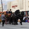 2013roseparade_7597