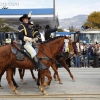 2013roseparade_8502