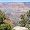 grandcanyon_7846