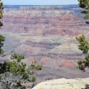 grandcanyon_7854
