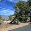 grandcanyon_7855