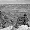 grandcanyon_7856