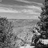 grandcanyon_7857