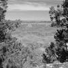grandcanyon_7859