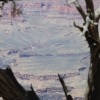 grandcanyon_7862