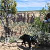 grandcanyon_7867