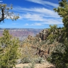 grandcanyon_7869