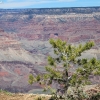 grandcanyon_7870