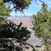 grandcanyon_7883