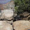 grandcanyon_7899
