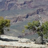 grandcanyon_7900