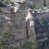 grandcanyon_7904