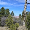grandcanyon_7929