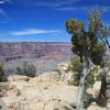 grandcanyon_7939