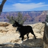 grandcanyon_7944