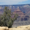 grandcanyon_7945