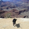 grandcanyon_7952