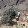 grandcanyon_7963