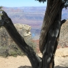 grandcanyon_7971