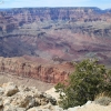 grandcanyon_8018