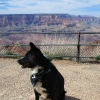 grandcanyon_8050