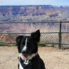 grandcanyon_8052