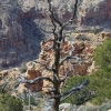 grandcanyon_8068