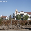 vineyards_3478